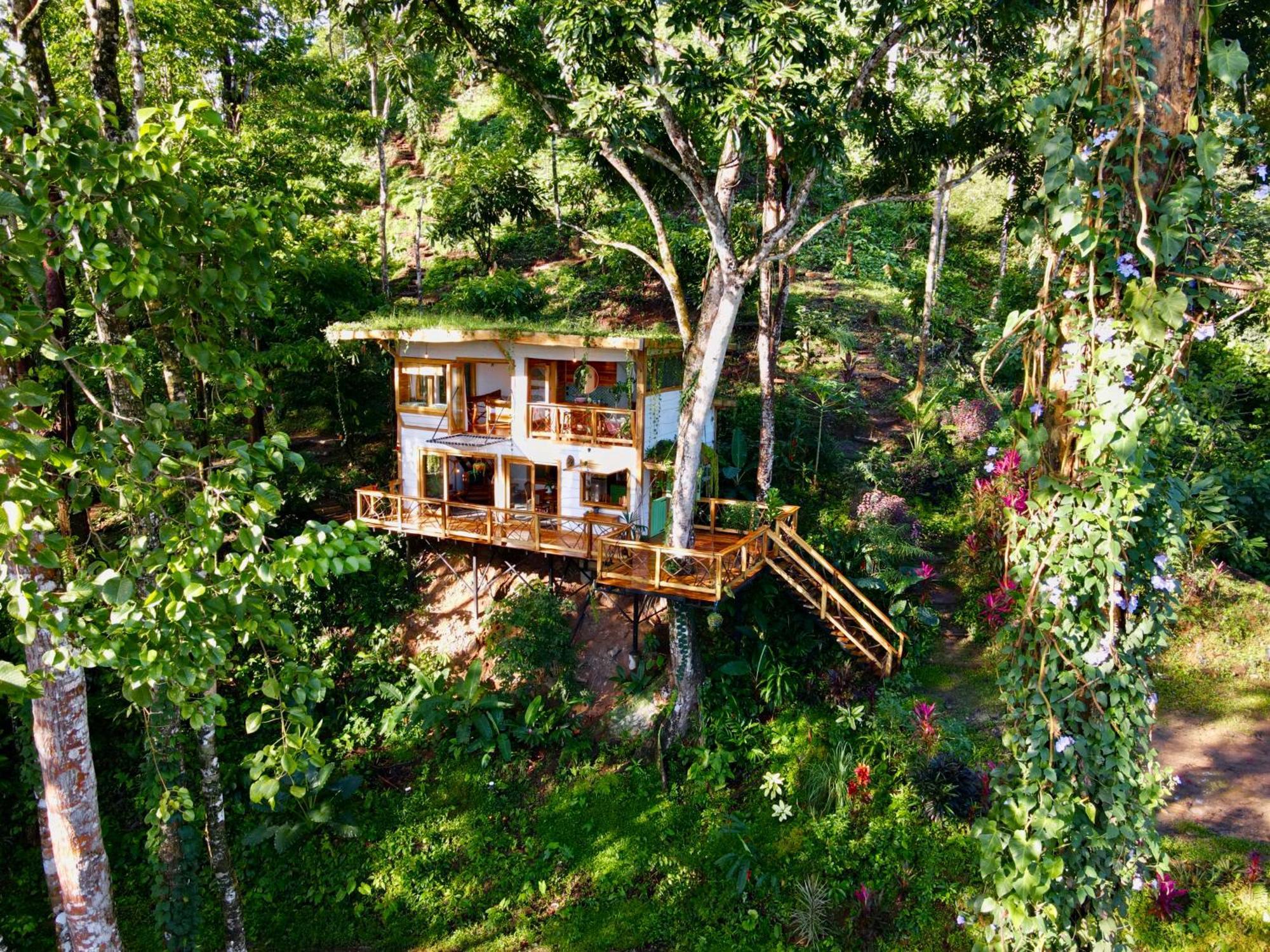 Jungle Spirit Treehouse Villa Cahuita Exteriör bild