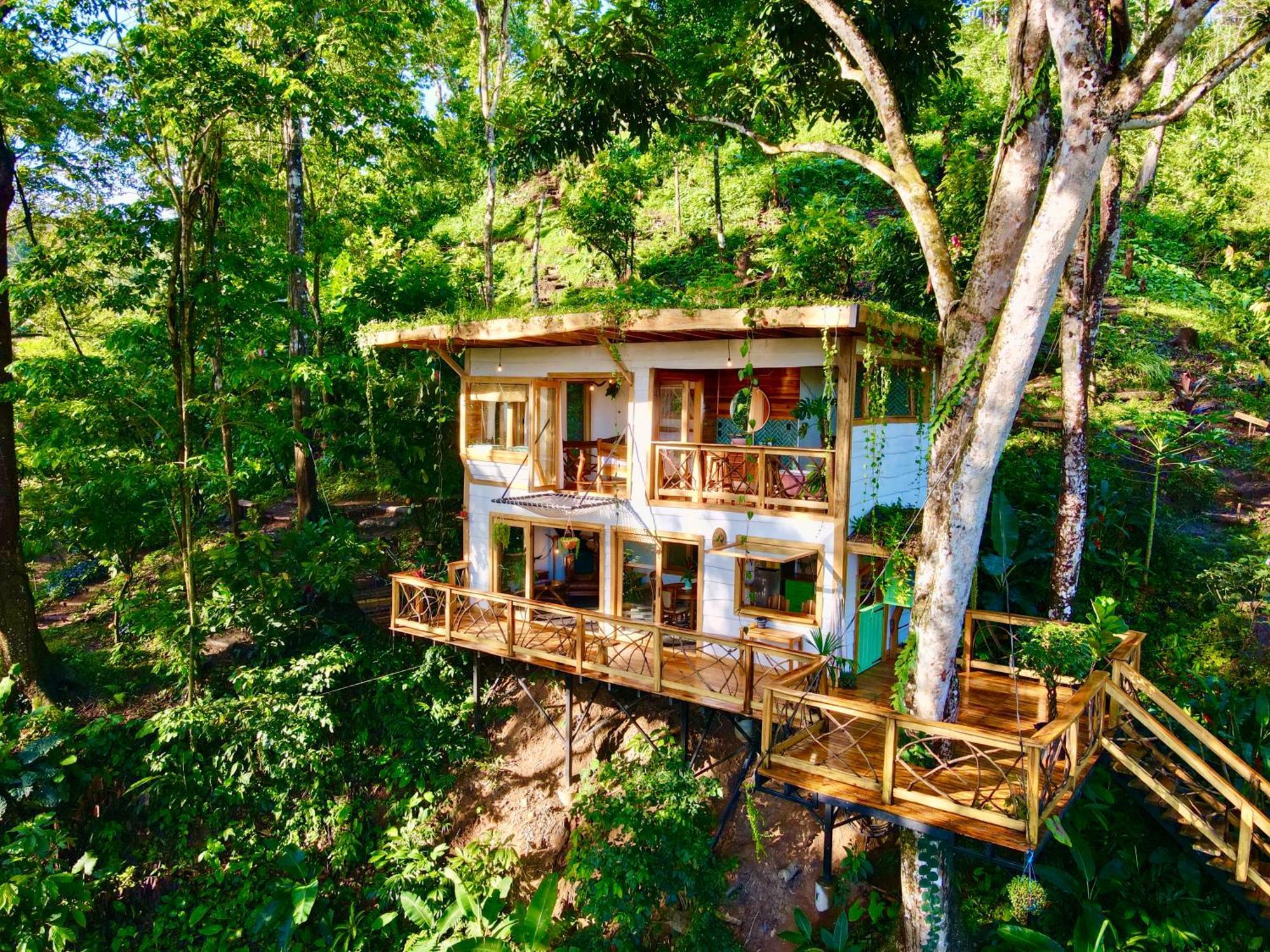 Jungle Spirit Treehouse Villa Cahuita Exteriör bild