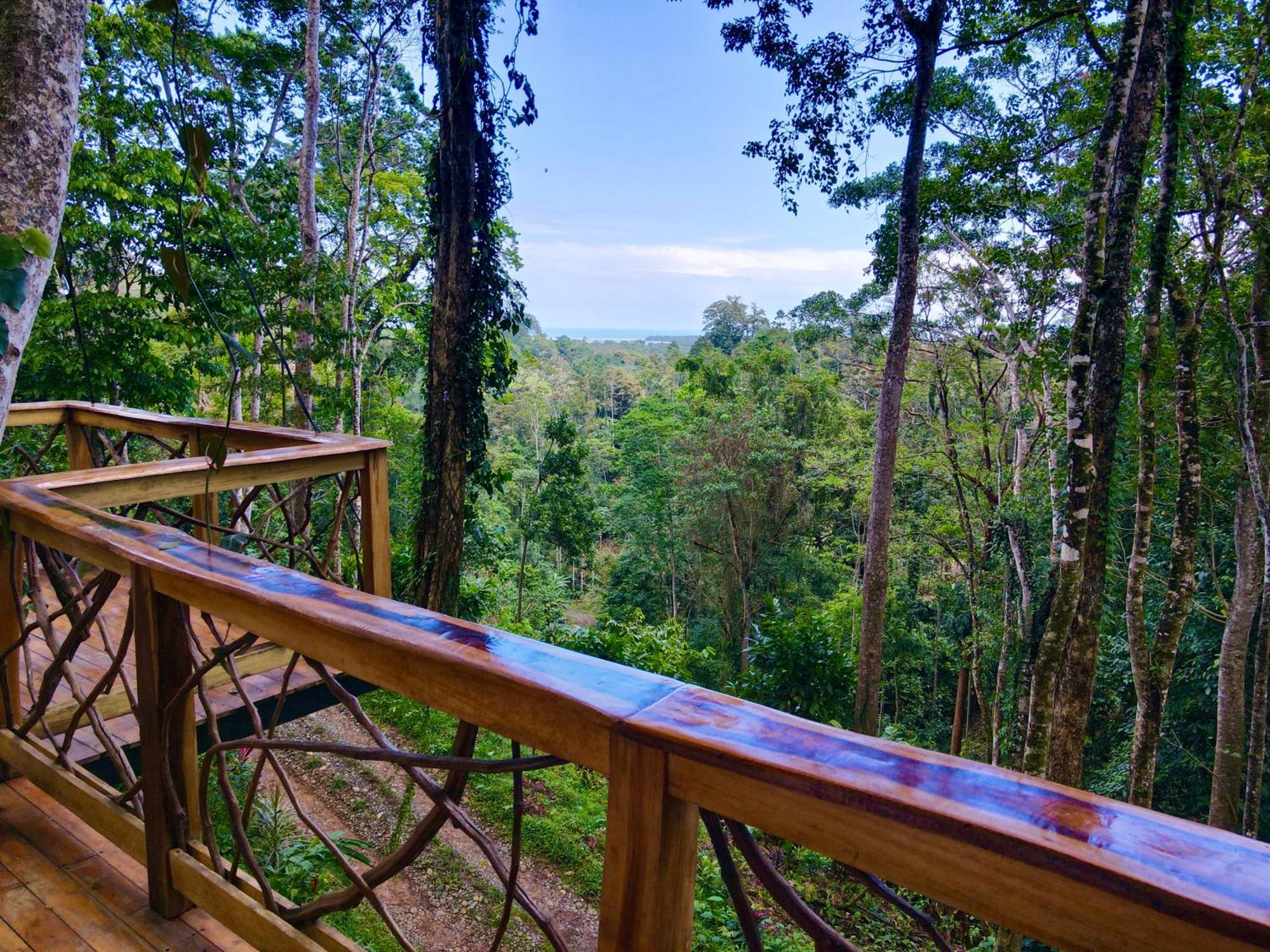 Jungle Spirit Treehouse Villa Cahuita Exteriör bild