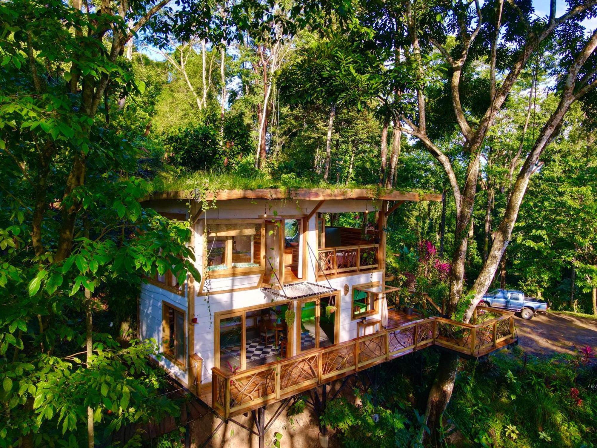 Jungle Spirit Treehouse Villa Cahuita Exteriör bild