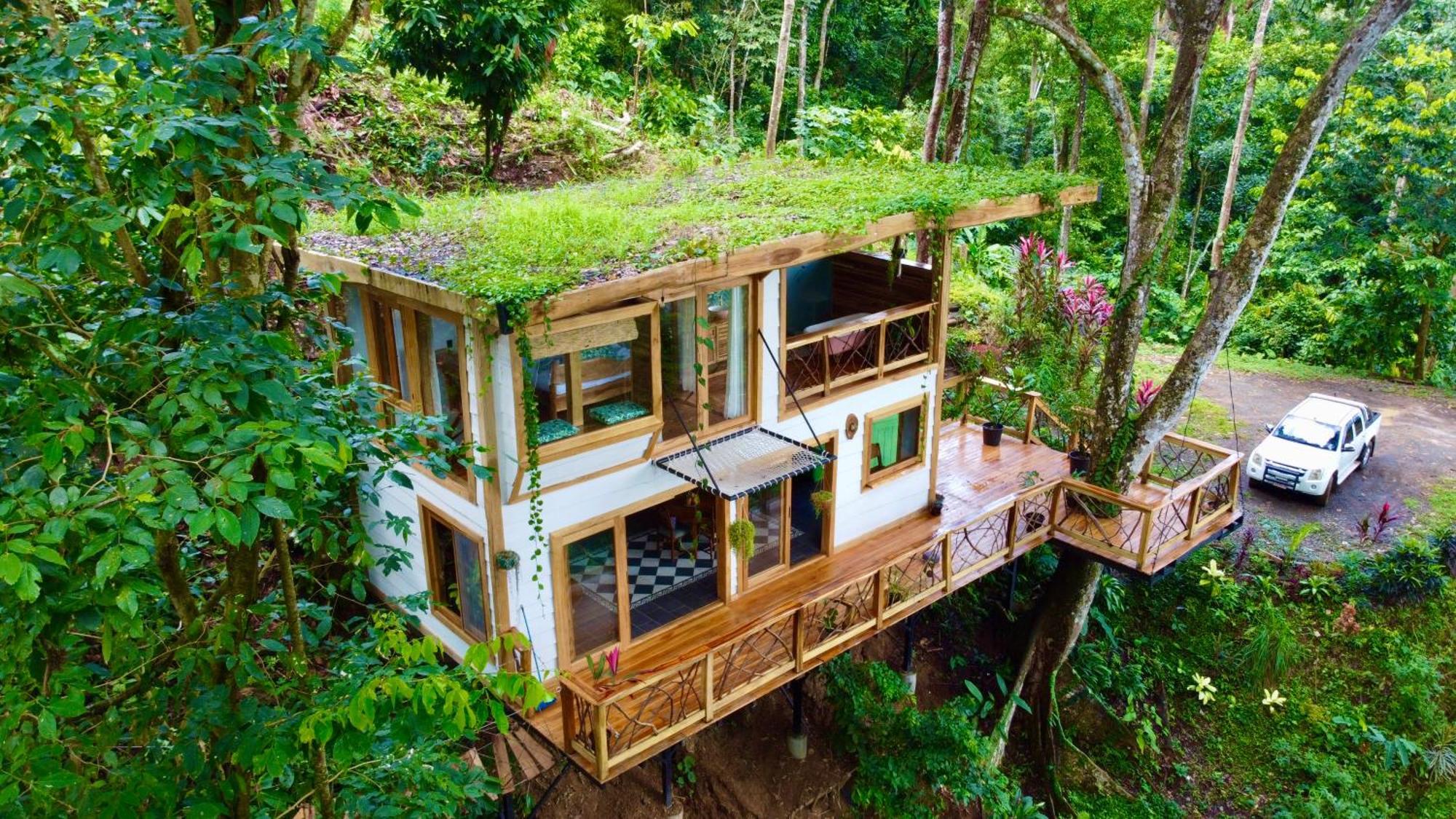 Jungle Spirit Treehouse Villa Cahuita Exteriör bild