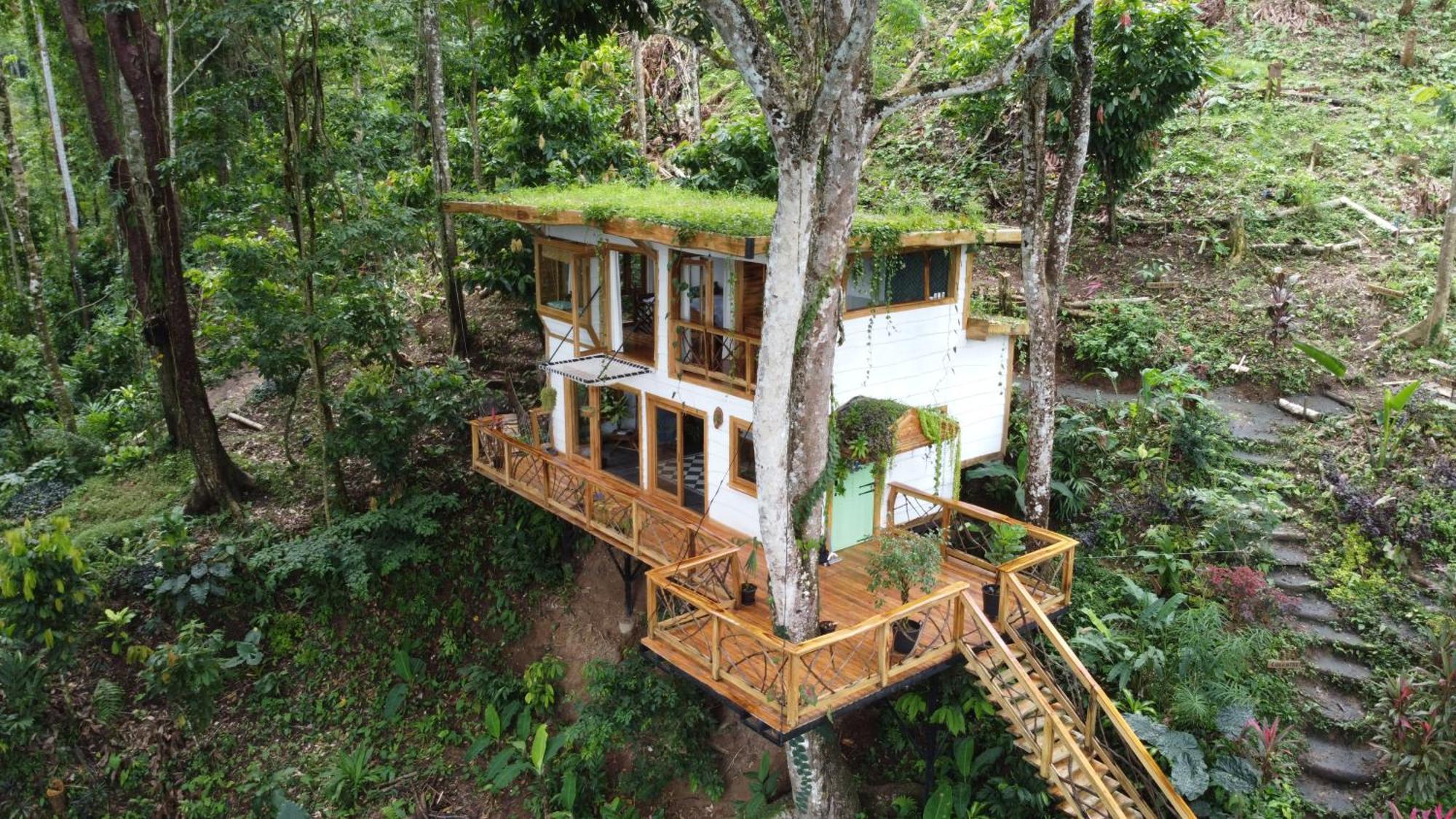 Jungle Spirit Treehouse Villa Cahuita Exteriör bild