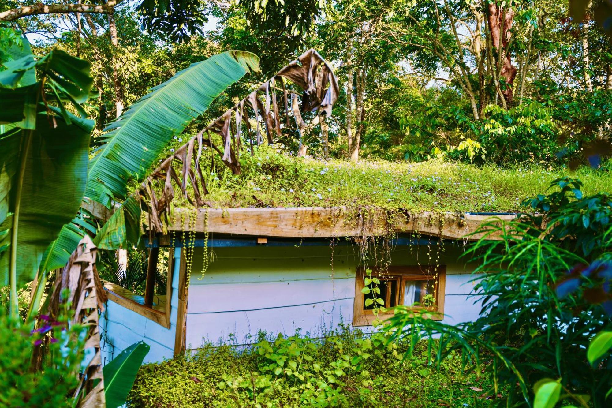 Jungle Spirit Treehouse Villa Cahuita Exteriör bild