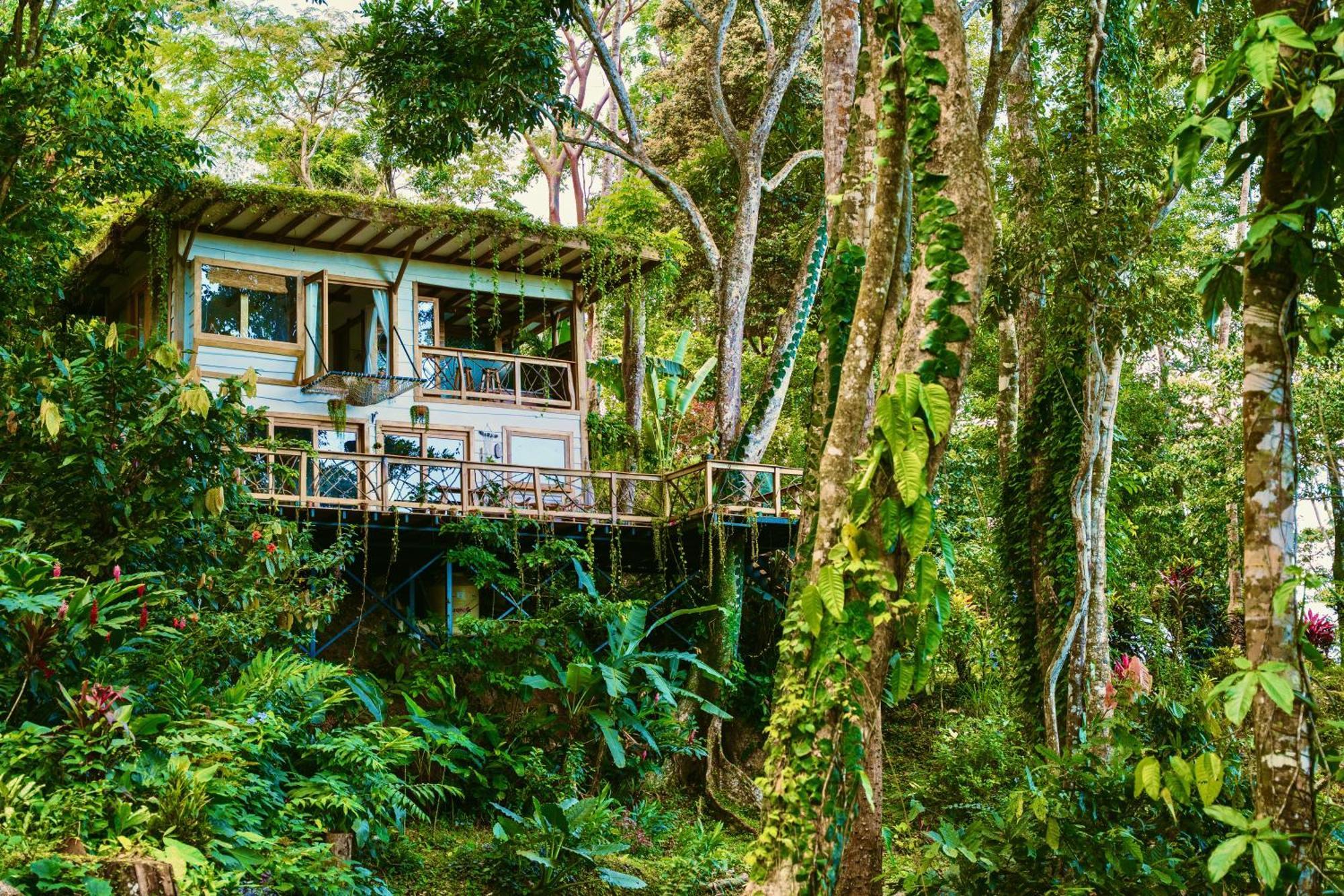 Jungle Spirit Treehouse Villa Cahuita Exteriör bild