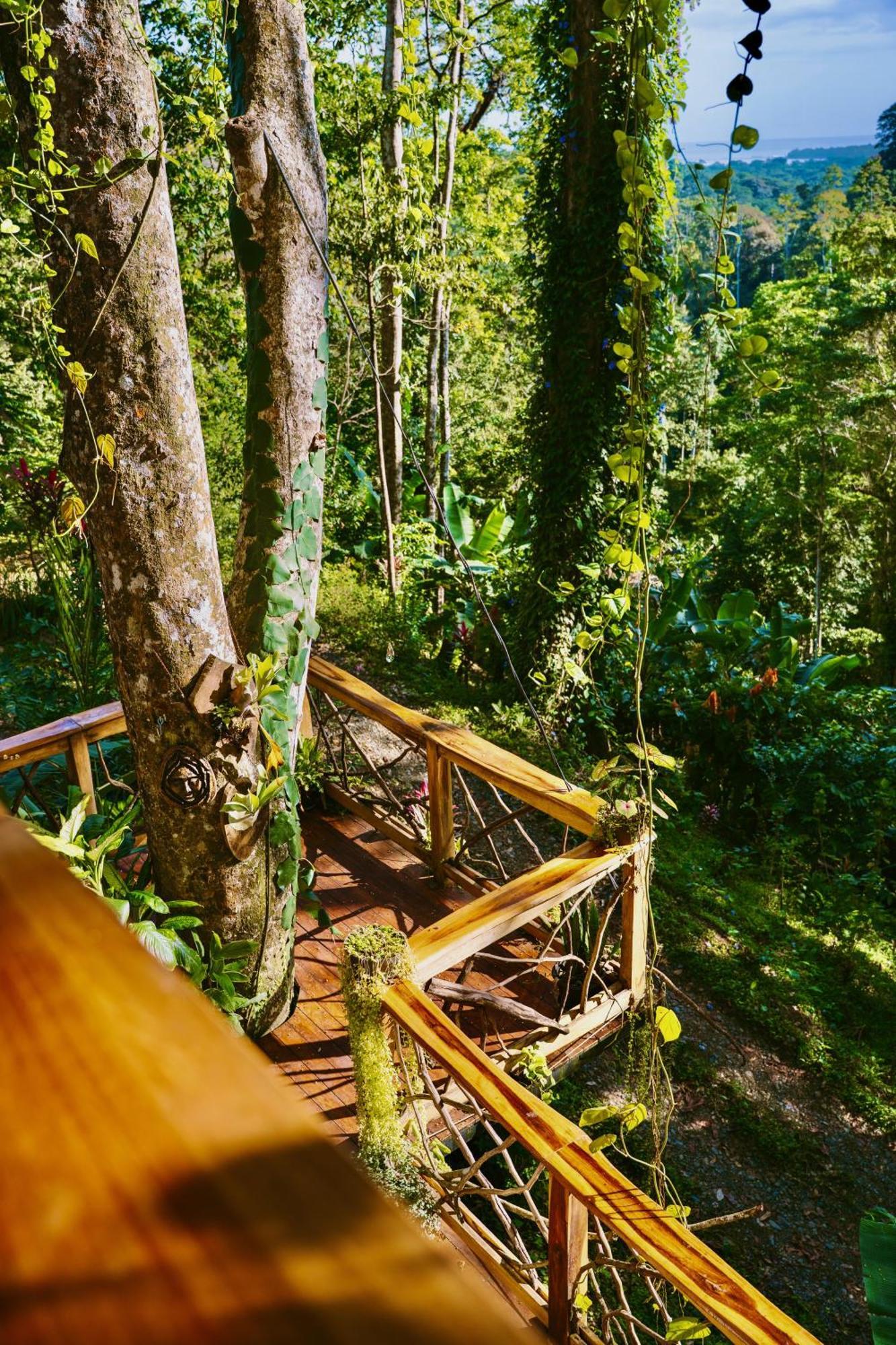 Jungle Spirit Treehouse Villa Cahuita Exteriör bild