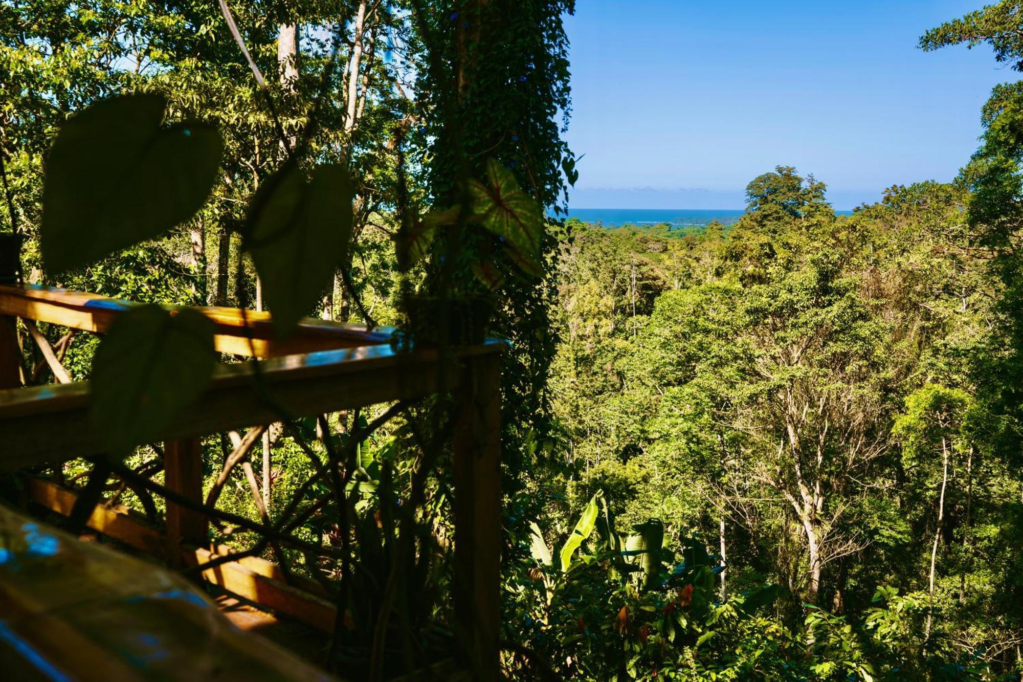 Jungle Spirit Treehouse Villa Cahuita Exteriör bild