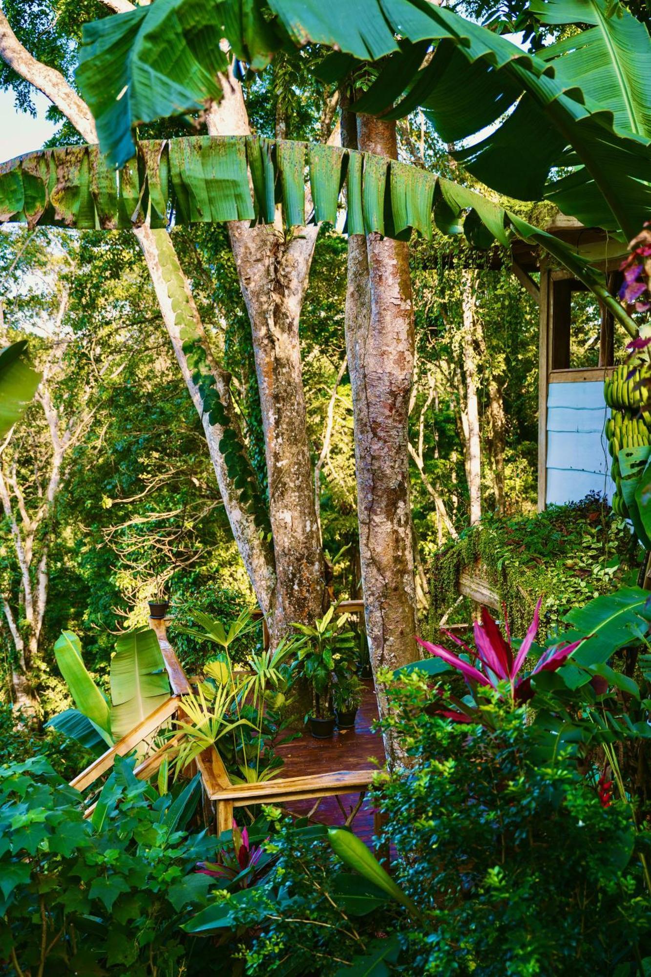 Jungle Spirit Treehouse Villa Cahuita Exteriör bild