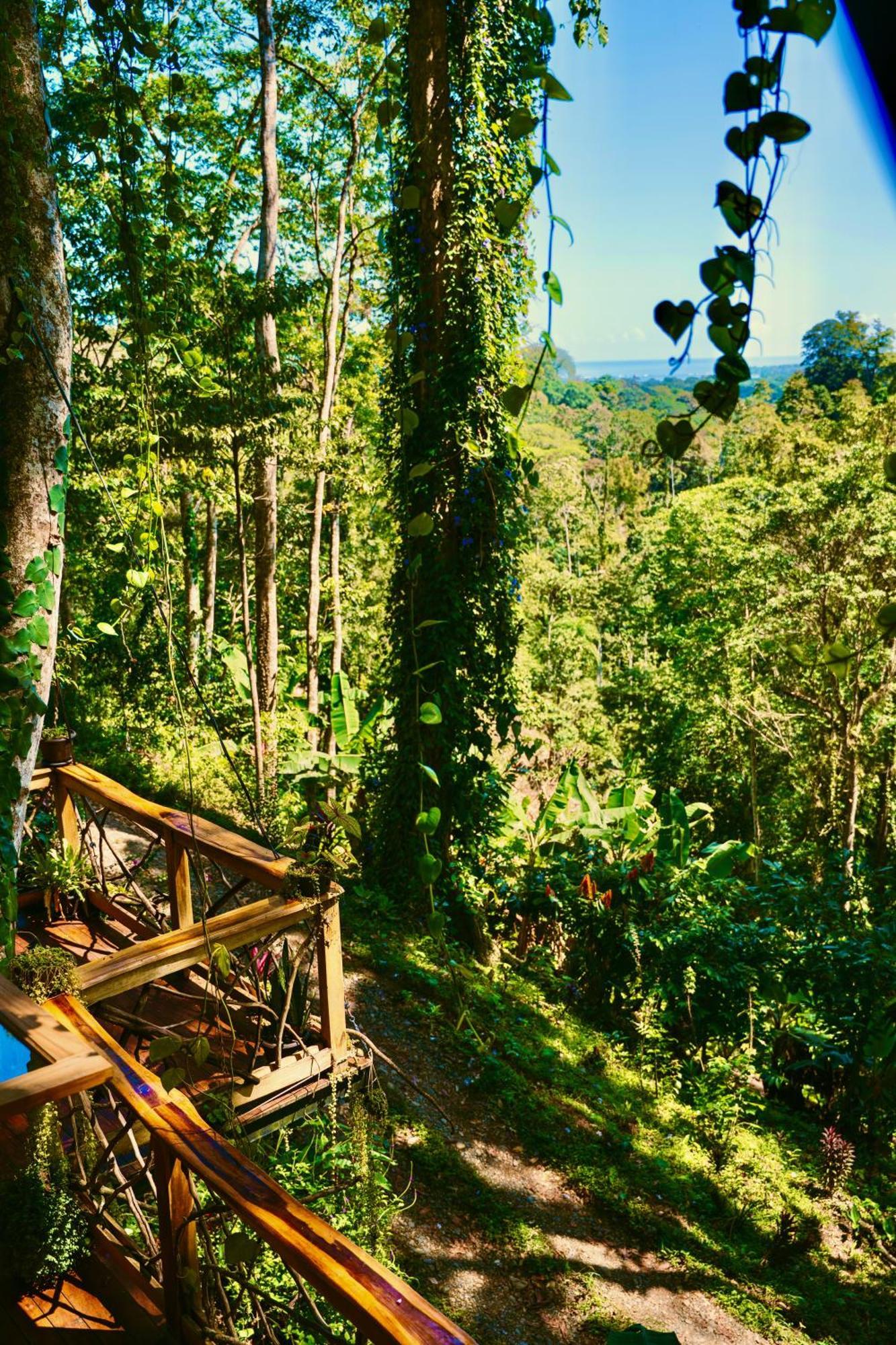 Jungle Spirit Treehouse Villa Cahuita Exteriör bild