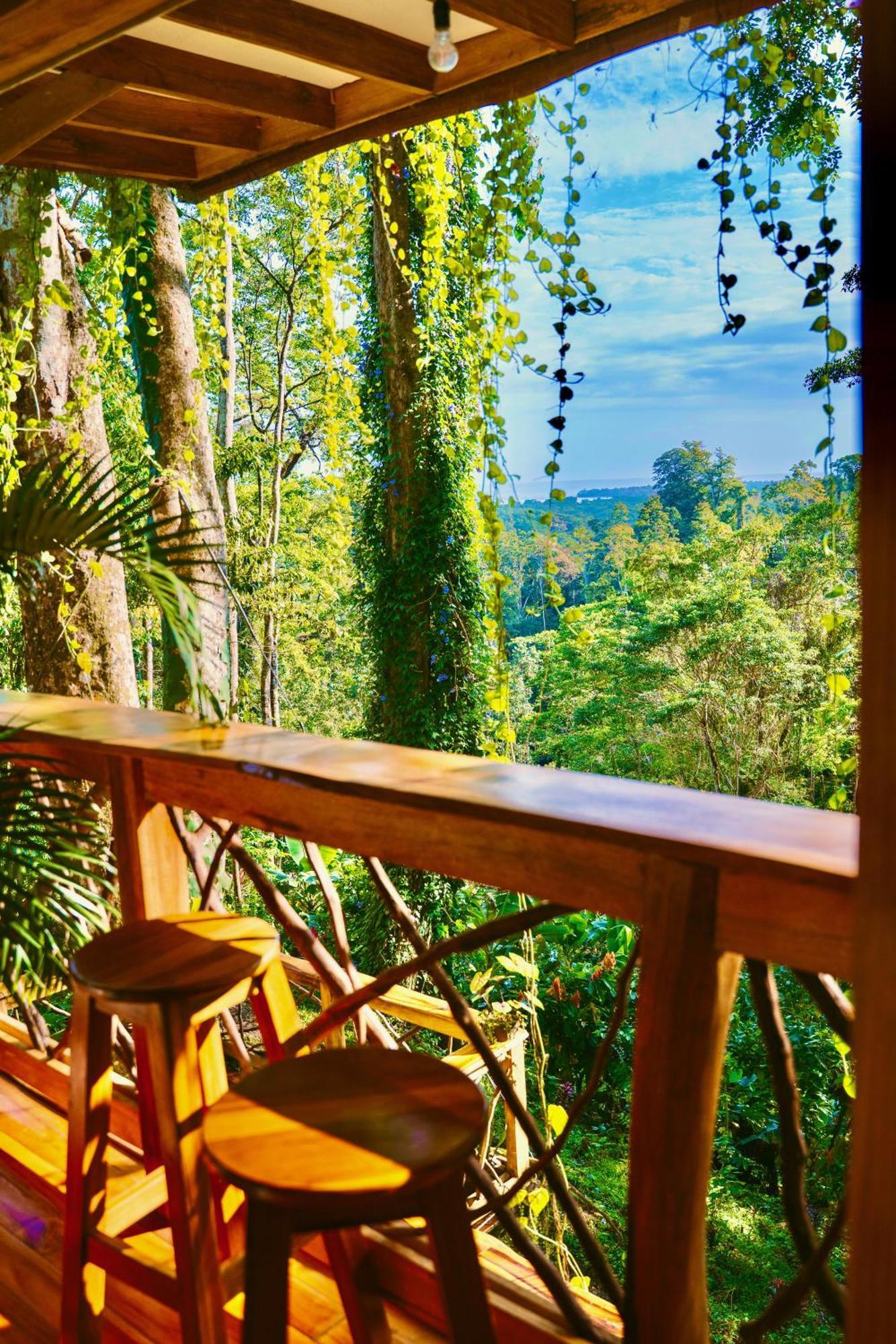 Jungle Spirit Treehouse Villa Cahuita Exteriör bild