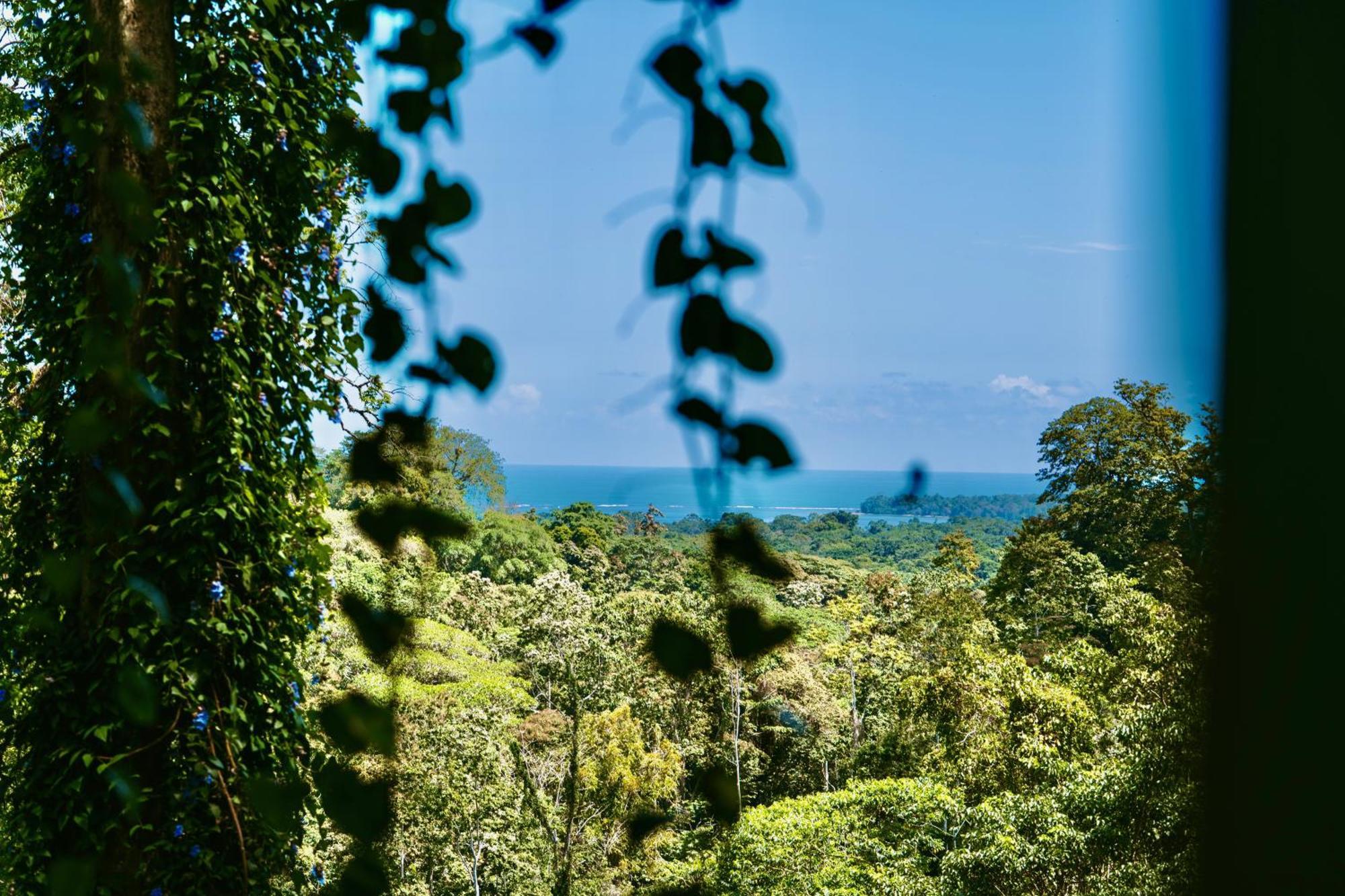 Jungle Spirit Treehouse Villa Cahuita Exteriör bild